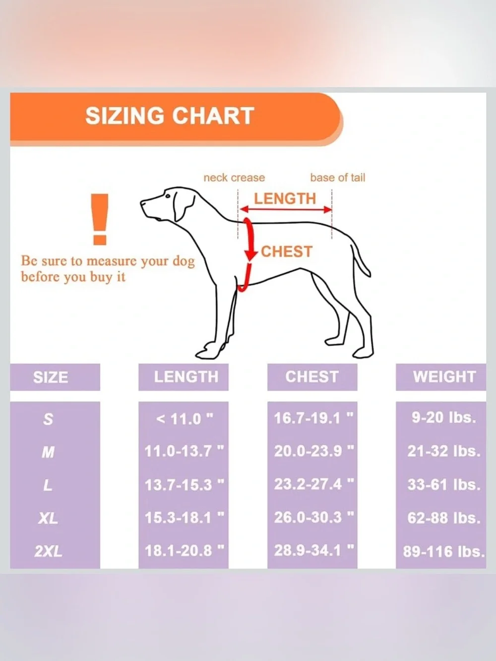 Dog Back Brace for  Arthritis, Pet Back Bracer for IVDD Back Protect 2188-1
